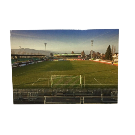 Stadionpostkarte Austria und FC Lustenau, Reichshofstadion
