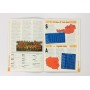 copy of Museum Programm Conwy United (WAL) - SV Ried (AUT) & Charleroi (BEL), 1996