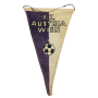 Wimpel Austria Wien, Meister 1968/1969