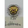 Pin TSV Lichtenau (GER)