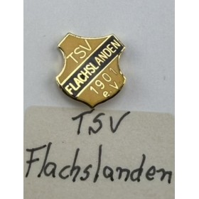 Pin TSV Flachslanden (GER)