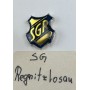 Pin SG Regnitzlosau (GER)
