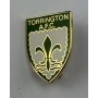 Pin Torrington AFC (ENG)