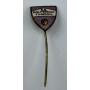 Pin CS Politehnica Timisoara (ROM)