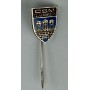 Pin CSM Cluj (ROM)