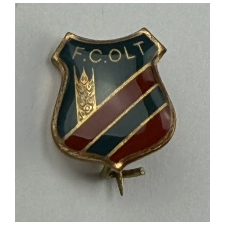 Pin FC Olt (ROM)