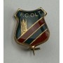 Pin FC Olt (ROM)