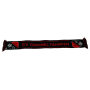 Schal SV Greimeltshofen (GER)