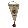 Wimpel ATSV Wolfsberg (AUT)