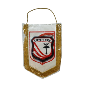 Wimpel Carpi FC 1909 (ITA)