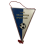 Wimpel 1. Wiener Neustädter SK (AUT)