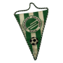 Wimpel Eintracht Wels (AUT)