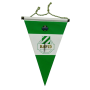 Wimpel + Pin Rapid Wien (AUT)