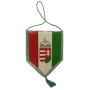 Wimpel Ferencváros Budapest (HUN)