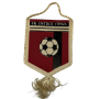 Wimpel FK Ostroj Opava (CZE)