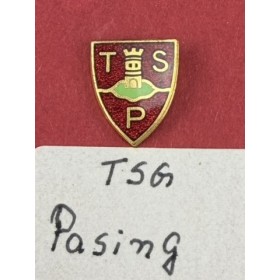 Pin TSG Pasing (GER)