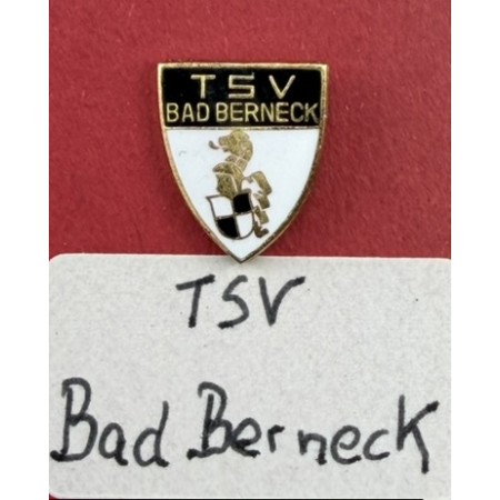 Pin TSV Bad Berneck (GER)