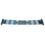 Schal Wilmington Hammerheads (USA)
