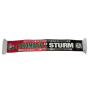 Schal Lok Moskau - Sturm Graz, 2011