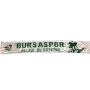 Schal Bursaspor (TUR)