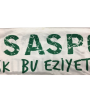Schal Bursaspor (TUR)