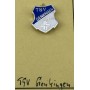 Pin SSV Genkingen (GER)