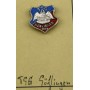 Pin TSG Söflingen (GER)