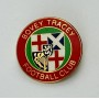 Pin Bovey & Tracey AFC (ENG)