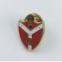 Pin Cehegín CF (ESP)