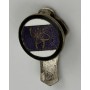 Pin Austria Wien, Wiener Amateur Sportverein