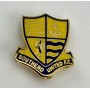 Pin Southend United FC (ENG)