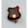 Pin Progresul Odorhei (ROM)