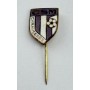 Pin CSM Caransebeș (ROM)