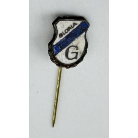 Pin ACF Gloria Bistrița (ROM)