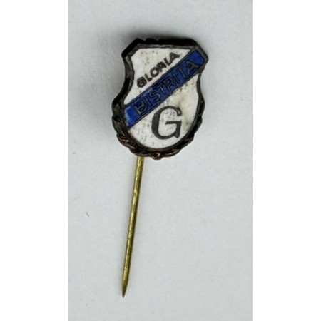 Pin ACF Gloria Bistrița (ROM)