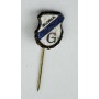 Pin ACF Gloria Bistrița (ROM)