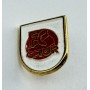 Pin FC Chur (SUI)