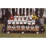 Teamkarte SK Vöest Linz, 1984/1985