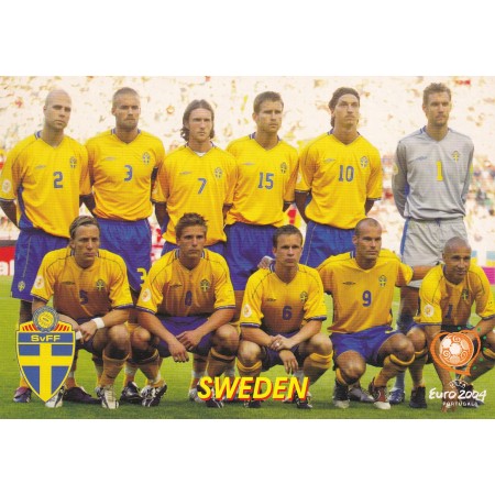 Teamkarte Schweden, Euro 2004