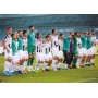 Teamkarte FC Hradec Králové (CZE), 2019