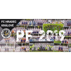 Teamkarte FC Hradec Králové (CZE), 2019