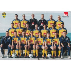 copy of Mannschaftskarte Schweden, 2001