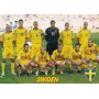 Teamkarte Schweden, Swiden 2006