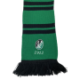 Schal SV Ried (AUT)