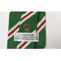 Krawatte Rapid Wien
