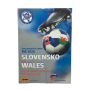 Programm Slowakei/Slovensko - Wales, 2019