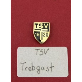 Pin TSV Trebgast (GER)