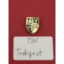 Pin TSV Trebgast (GER)