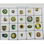 Pinkonvolut/Pinsammlung Tschechien, 30 Stück (IV)