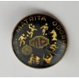 Pin AS Matrița Odorhei (ROM)